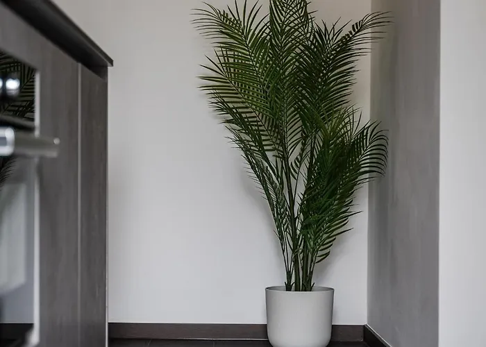 - Vista Mare Con Letto A Castello Apartment