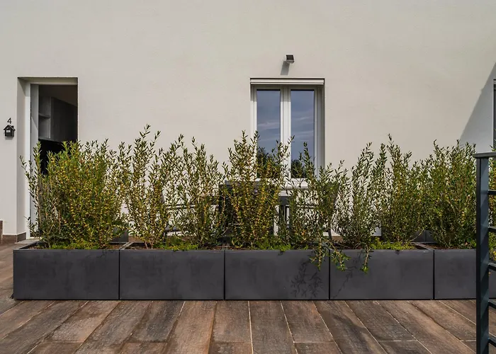 - Vista Mare Con Letto A Castello